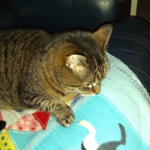 Meet your Posher, Jill